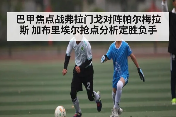 巴甲焦点战弗拉门戈对阵帕尔梅拉斯 加布里埃尔抢点分析定胜负手