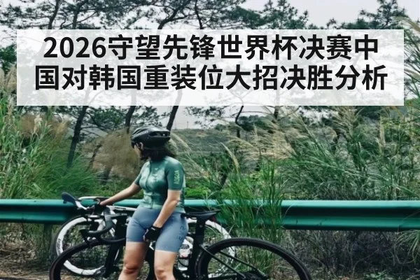 2026守望先锋世界杯决赛中国对韩国重装位大招决胜分析